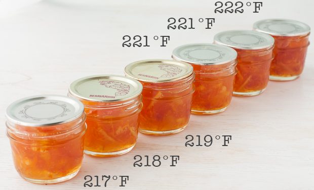 MAKING MARMALADE: COOKING TEMPERATURES & THE JAM SETTING POINT