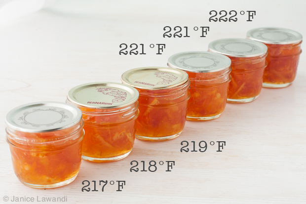 MAKING MARMALADE: COOKING TEMPERATURES & THE JAM SETTING POINT