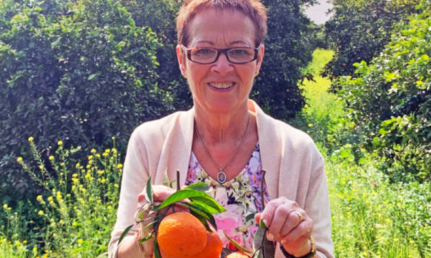 How to make Seville Orange Marmalade in celebration of Gospa Citrus Seville Oranges