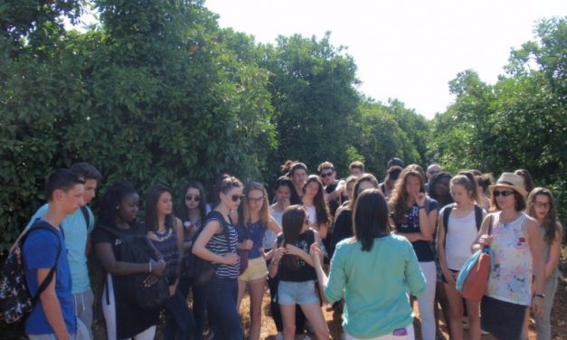 The dream made real of the French students in Gospa Citrus Farm