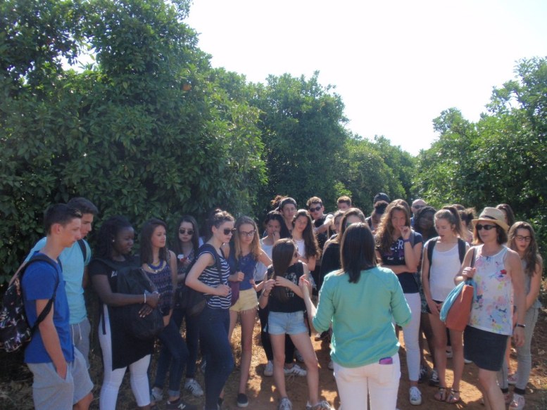 The dream made real of the French students in Gospa Citrus Farm