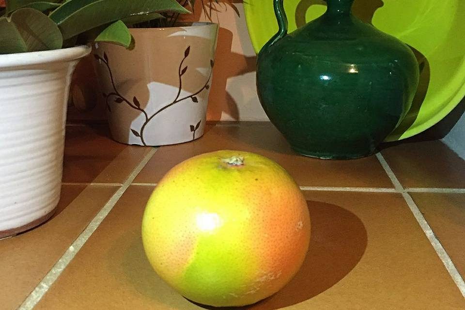 Grapefruit from Gospa Citrus Farm, Seville