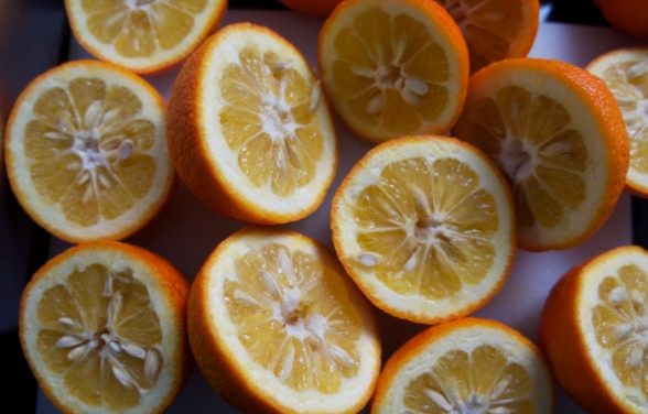 Seville Orange Marmalade by Lindsey Dickson
