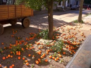 No more street oranges as food.