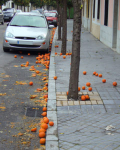 Dirty chemicals on the street Seville Oranges.