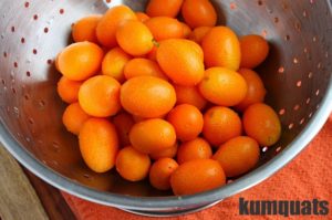 Kumquat Marmalade w/ Orange-Pecan English Muffin Bread