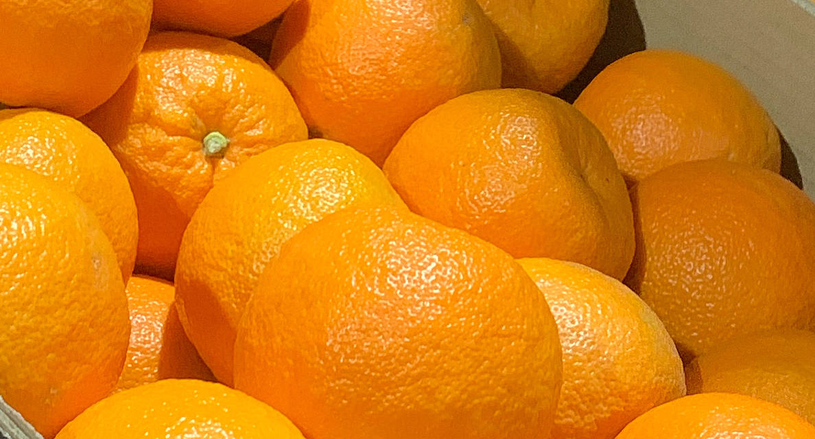 Gospa Citrus adds sweetness to the bitter Seville oranges