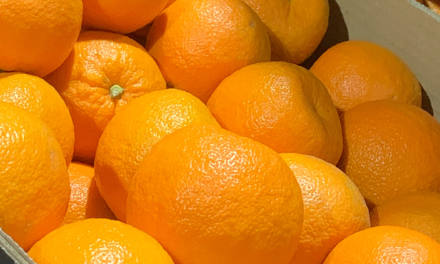 Gospa Citrus adds sweetness to the bitter Seville oranges
