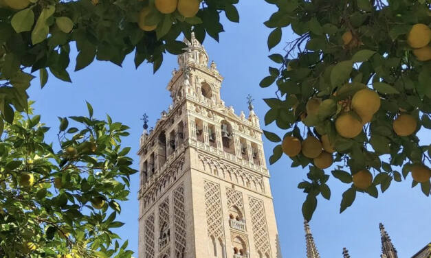 History of the Seville Orange Tree