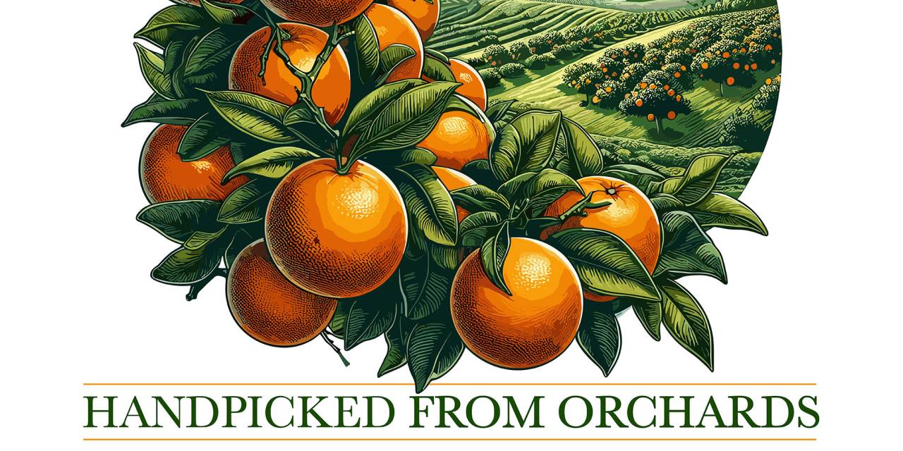 HANDPICKED FROM ORCHARDS: THE TRUE SEVILLE ORANGE EXPERIENCE