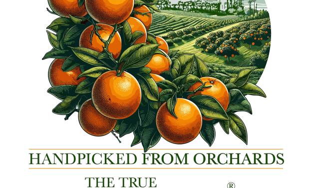 HANDPICKED FROM ORCHARDS: THE TRUE SEVILLE ORANGE EXPERIENCE