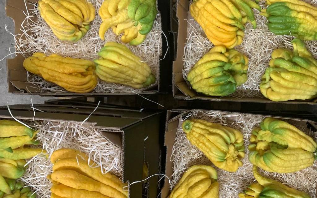 5 Things to Do With a Buddha’s Hand