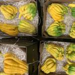 5 Things to Do With a Buddha’s Hand