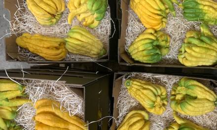 5 Things to Do With a Buddha’s Hand