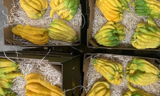 5 Things to Do With a Buddha’s Hand